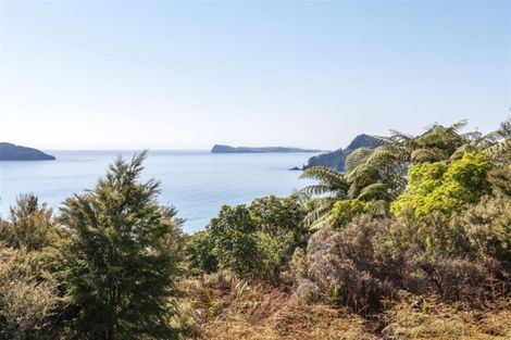 Photo of property in 160 Pumpkin Hill Road, Pumpkin Hill, Whitianga, 3591