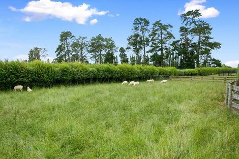 Photo of property in 165 Buckland Road, Matamata, 3472