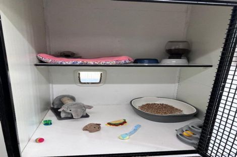 Photo of property in 140 Mako Mako Road, Levin, 5510