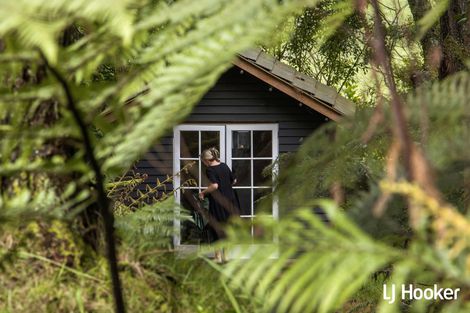 Photo of property in 115 Ngatitangata Road, Waihi, 3681