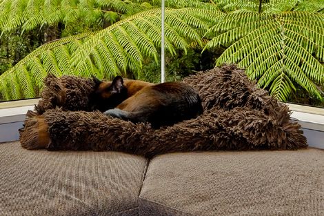 Photo of property in 53a Onedin Place, Titirangi, Auckland, 0604