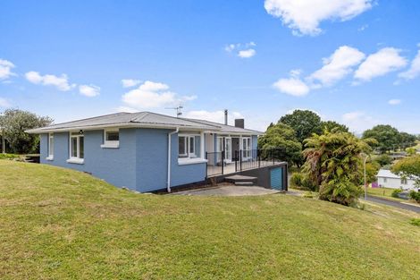 Photo of property in 38 Station Street, Tirau, 3410