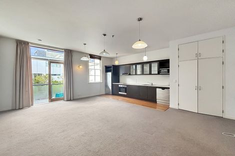 Photo of property in 207 Tasman Street, Mount Cook, Wellington, 6021