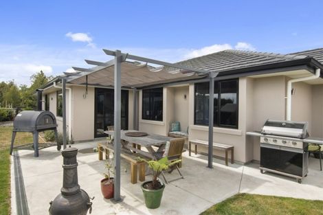 Photo of property in 18 Mako Street, Richmond, 7020