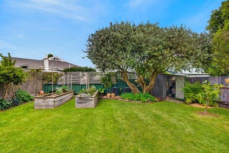 Photo of property in 8a Ashridge Road, Napier South, Napier, 4110