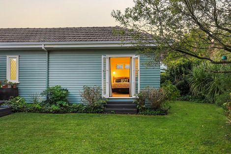 Photo of property in 21 Beale Street, Hamilton East, Hamilton, 3216