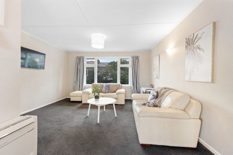 Photo of property in 46 Wentworth Street, East Gore, Gore, 9710