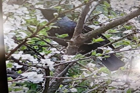 Photo of property in 39 Milne Terrace, Island Bay, Wellington, 6023