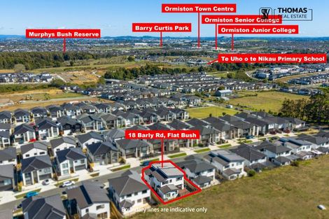 Photo of property in 18 Barley Road, Flat Bush, Auckland, 2019