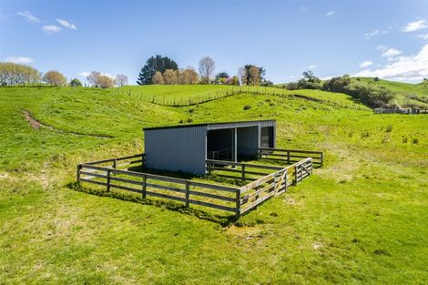 Photo of property in 45 Glengarry Road, Glengarry, Napier, 4182