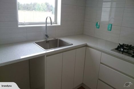 Photo of property in 17 Hangahai Road, Flat Bush, Auckland, 2019