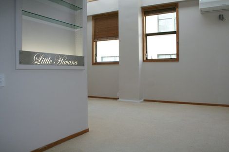Photo of property in Wwmc Building, 15/101a Cuba Street, Te Aro, Wellington, 6011