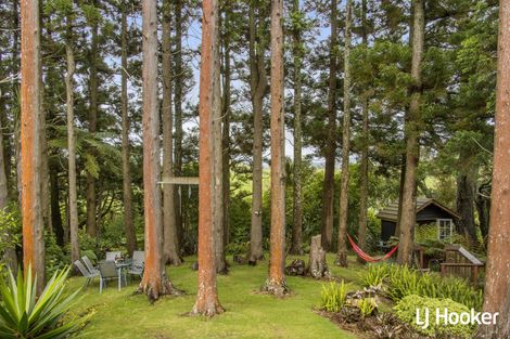 Photo of property in 115 Ngatitangata Road, Waihi, 3681