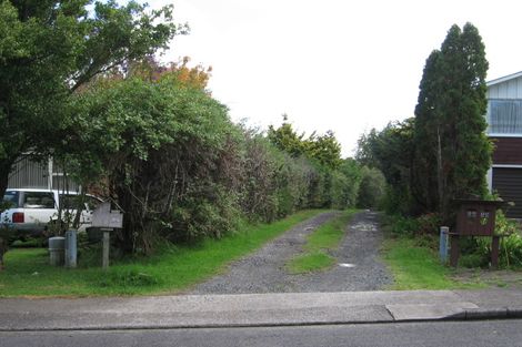 Photo of property in 58 Kingdale Road, Henderson, Auckland, 0610