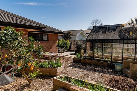 Photo of property in 136 Golden Shore Place, Coromandel, 3506