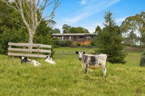 Photo of property in 37 Lloyd Road, Riverhead, Albany, 0793