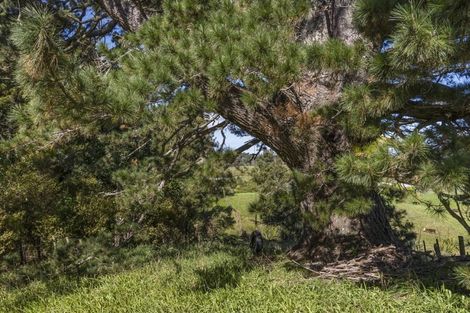 Photo of property in 287 Whitehills Road, Waitoki, Silverdale, 0994