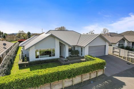 Photo of property in 46 Helen June Avenue, Flagstaff, Hamilton, 3210