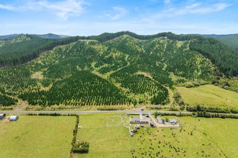 Photo of property in 353 Kopuku Road, Maramarua Forest, Te Kauwhata, 3781