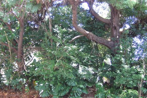 Photo of property in 51 Braemar Road, Castor Bay, Auckland, 0620