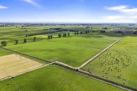 Photo of property in 145 Campbells Road, Pine Hill, Dunedin, 9010