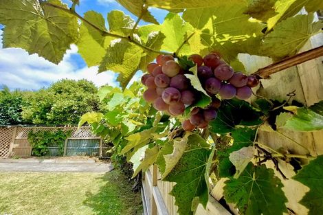 Photo of property in 3 Corns Street, Kensington, Whangarei, 0112