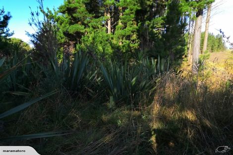 Photo of property in 4 Mowhia Grove, Waitarere, Levin, 5510