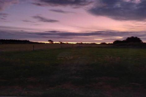 Photo of property in 11 Magnolia Place, Levin, 5510