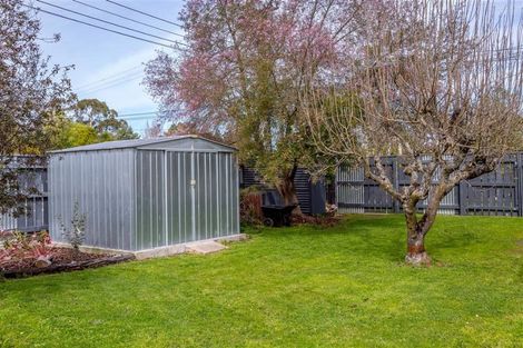 Photo of property in 147 Cockburn Street, Kuripuni, Masterton, 5810