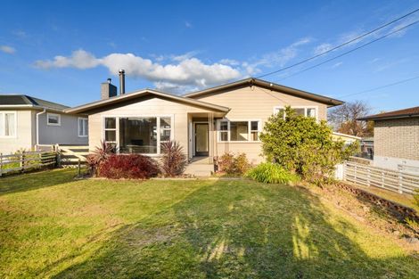 Photo of property in 17 Mcclure Street, Feilding, 4702