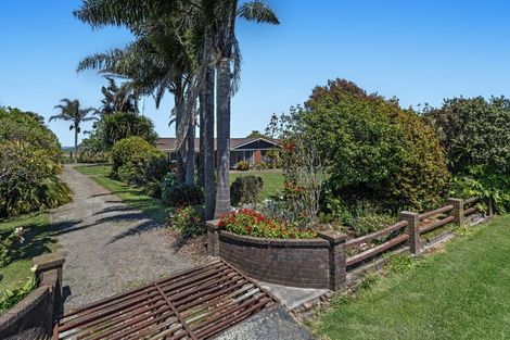 Photo of property in 641 Thornton Road, Thornton, Whakatane, 3194