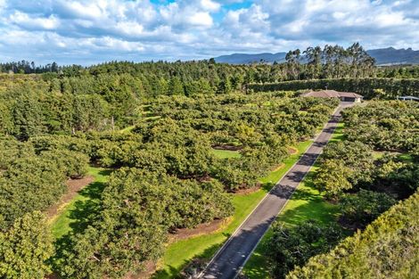 Photo of property in 237b Busby Road, Tahawai, Katikati, 3170