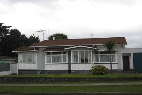 Photo of property in 48 Salisbury Street, Levin, 5510