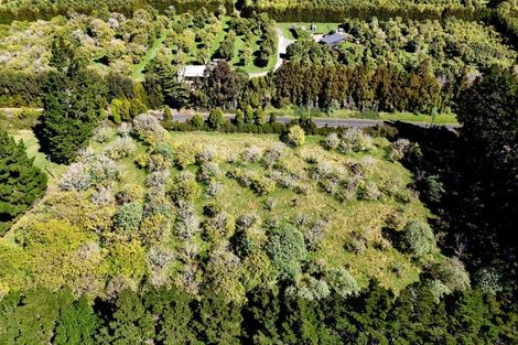 Photo of property in 510 Tara Road, Mangawhai, Kaiwaka, 0573