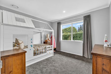 Photo of property in 12 Maple Place, Morrinsville, 3300