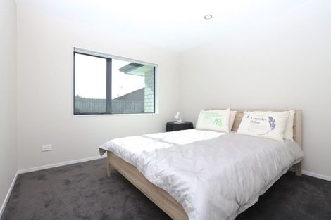 Photo of property in 17 Ladeira Place, Fitzroy, Hamilton, 3206