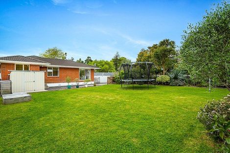 Photo of property in 23 Lucinda Place, Glen Eden, Auckland, 0602