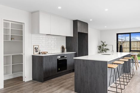 Photo of property in 42 Baratheon Road, Rolleston, 7678