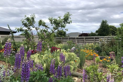 Photo of property in 16 Walshs Road, Allenton, Ashburton, 7700