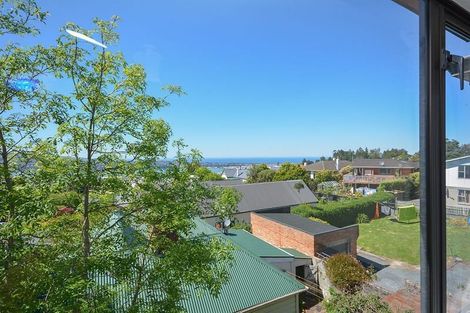 Photo of property in 23 Fifield Street, Roslyn, Dunedin, 9010