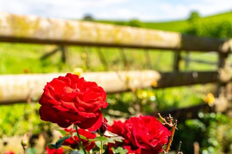 Photo of property in 61a Hilton Road, Lynmore, Rotorua, 3010