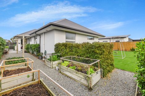 Photo of property in 34 Blue Jean Avenue, Rolleston, 7614