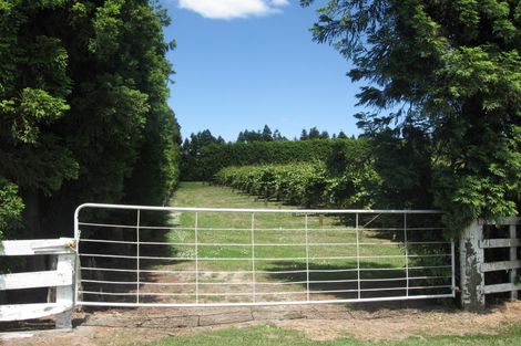 Photo of property in 128 Pukehina Beach Road, Pukehina, Te Puke, 3189