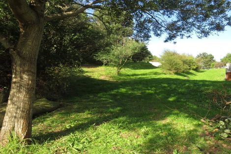 Photo of property in 44a Happy Jacks Road, Mahia, 4198