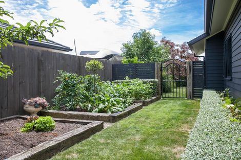 Photo of property in 3 Cotter Place, Cambridge, 3434