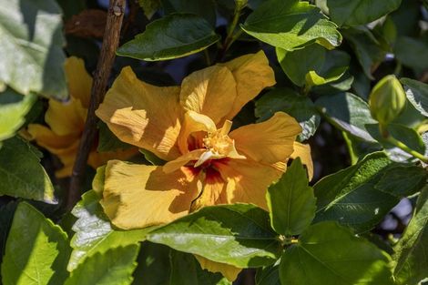 Photo of property in 2 Kanawa Street, Waikanae, 5036