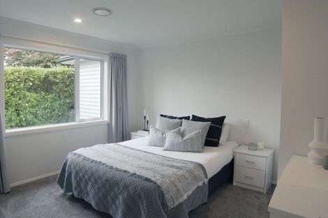 Photo of property in 24b Manson Street, Terrace End, Palmerston North, 4410