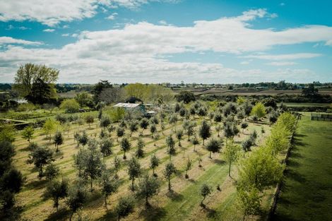 Photo of property in 271 Mystery Creek Road, Ohaupo, 3881