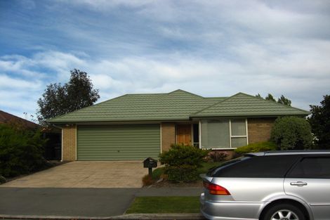 Photo of property in 45 Showgate Avenue, Sockburn, Christchurch, 8042