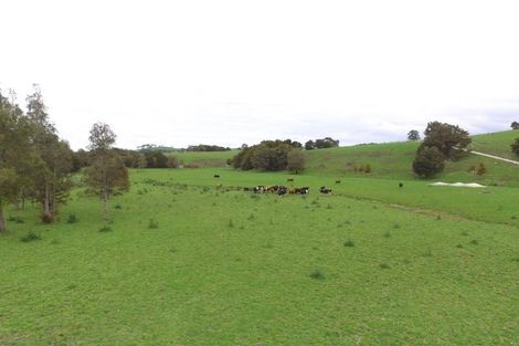 Photo of property in 48 Station Road, Pukekohe, 2120